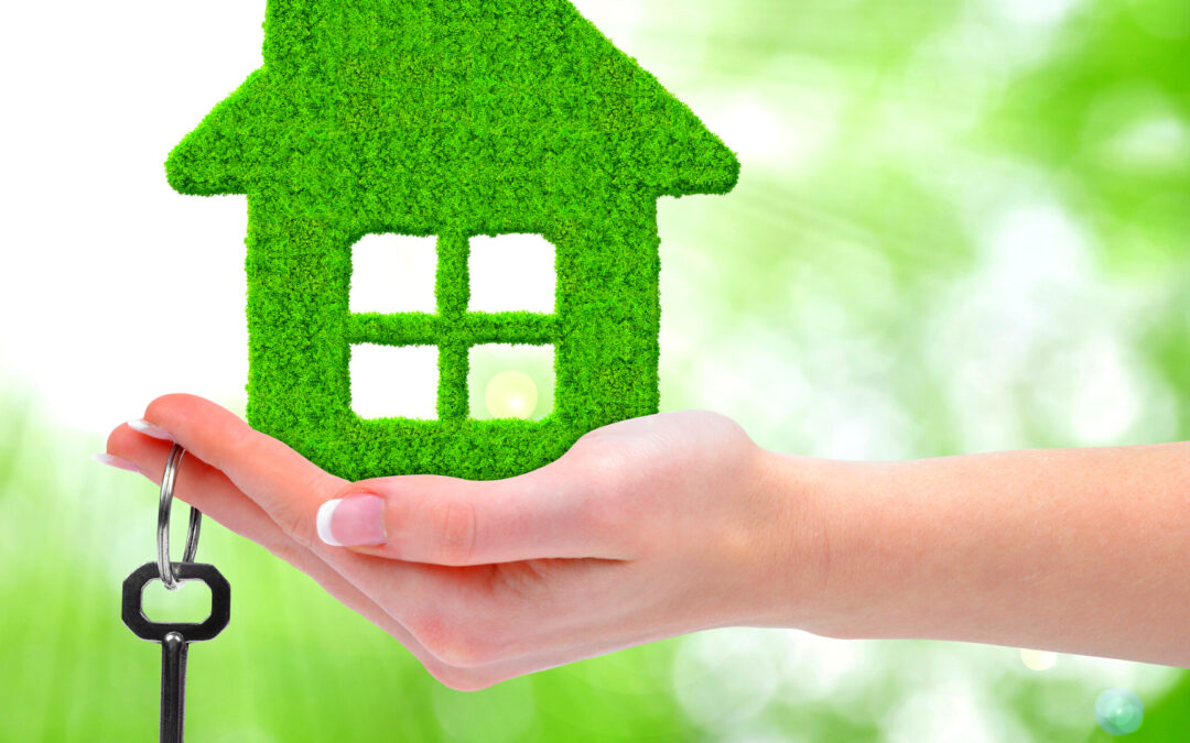 Green is the New Black: Sustainable Housing Trends You Need to Know About
