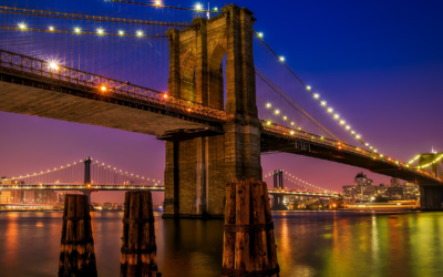 Escaping the Concrete Jungle: The Exodus from Brooklyn