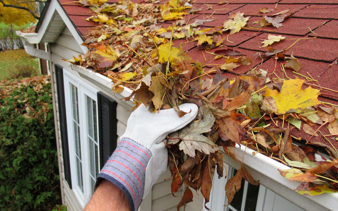 5 Tips for Cleaning and Organizing Your Home for the Fall Season