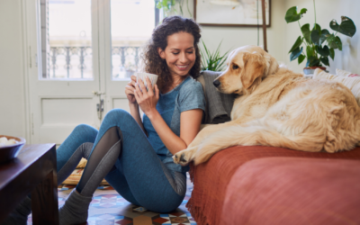 Real Estate for Single Homebuyers: Tips, Tricks, and Insights