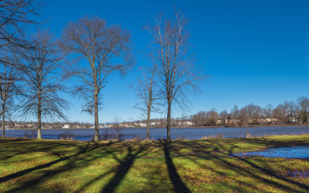 Exploring the Best of Manalapan, New Jersey: A Real Estate Perspective