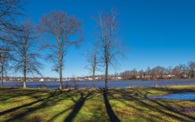 Exploring the Best of Manalapan, New Jersey: A Real Estate Perspective