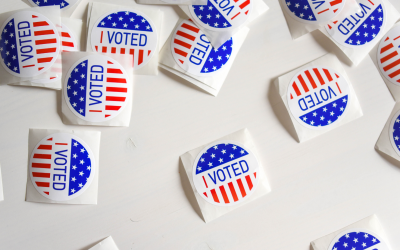 Why Do Elections Cause a Slowdown?