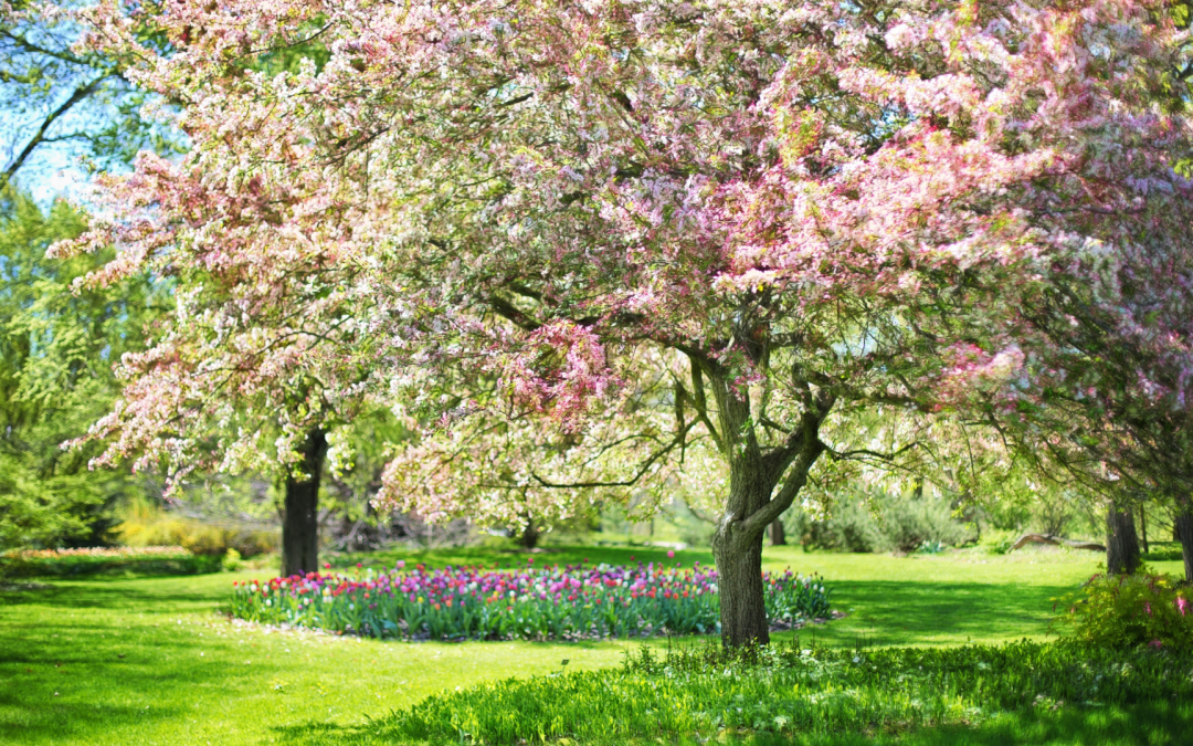Selling This Spring? Here’s How to Get Your House Ready