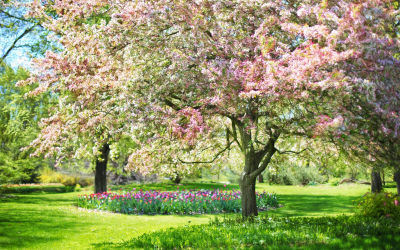 Selling This Spring? Here’s How to Get Your House Ready