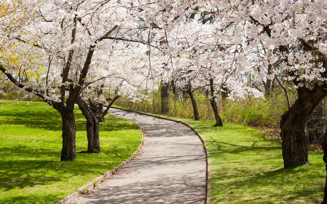 Is Your Home Ready for Spring?