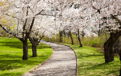 Is Your Home Ready for Spring?