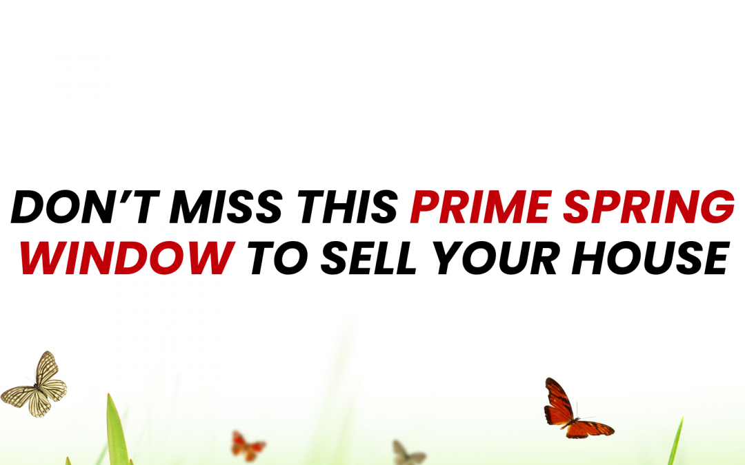 Prime Spring Window