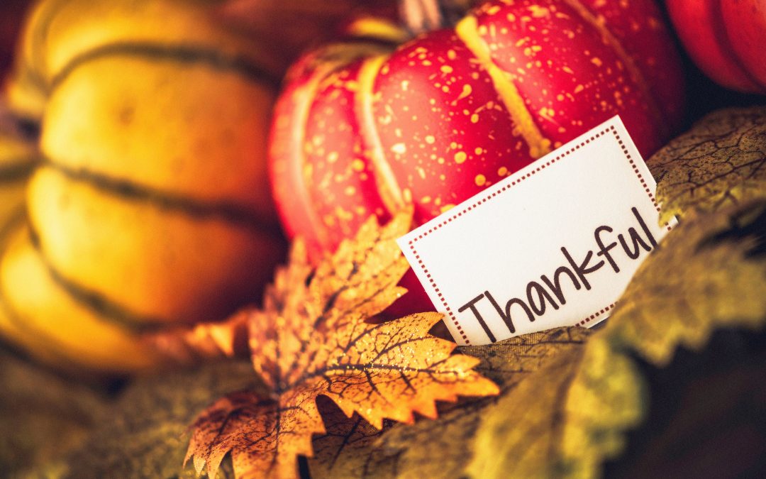 Many People Are Thankful They Bought a Home This Year