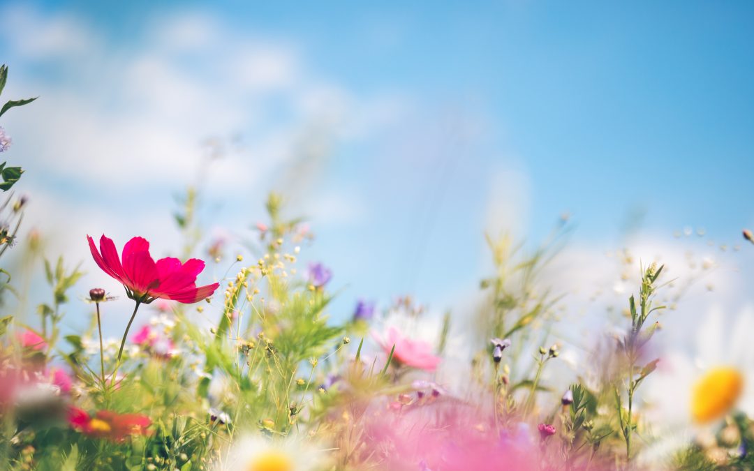 3 Reasons to Buy Before Spring