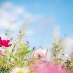 3 Reasons to Buy Before Spring