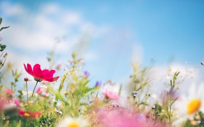 3 Reasons to Buy Before Spring