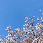 Spring Sellers Have the Advantage in Today’s Housing Market