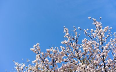 Spring Sellers Have the Advantage in Today’s Housing Market