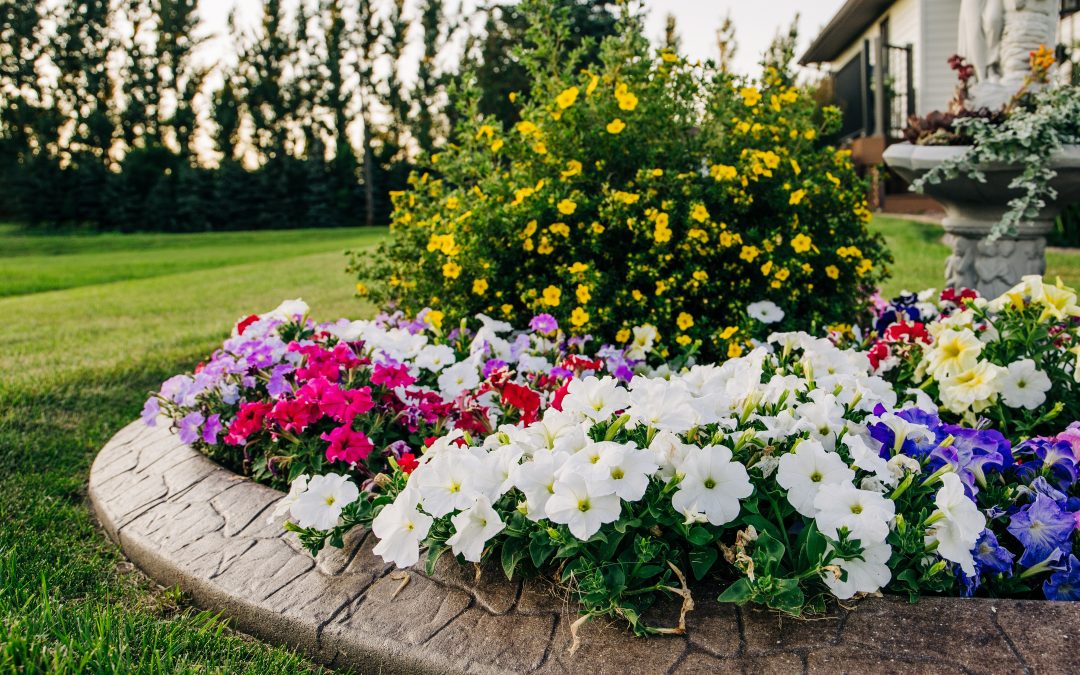 How to Improve Your Curb Appeal Before a Showing