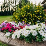 How to Improve Your Curb Appeal Before a Showing