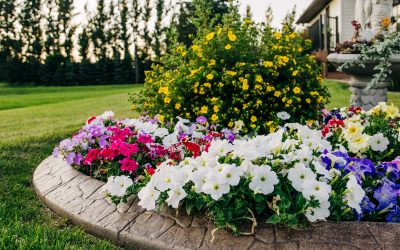 How to Improve Your Curb Appeal Before a Showing